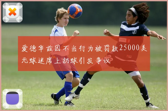 爱德华兹因不当行为被罚款25000美元球迷席上扔球引发争议