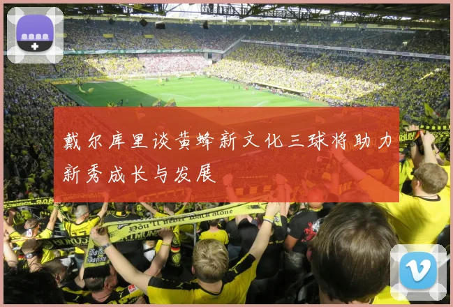 戴尔库里谈黄蜂新文化三球将助力新秀成长与发展